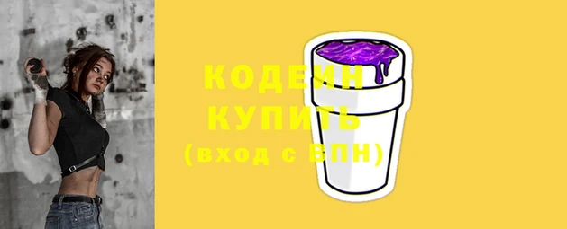2c-b Новозыбков