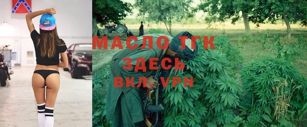 дмт Пересвет