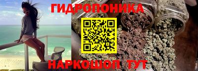 a pvp Гатчина