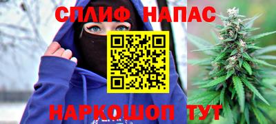 скорость Гагарин