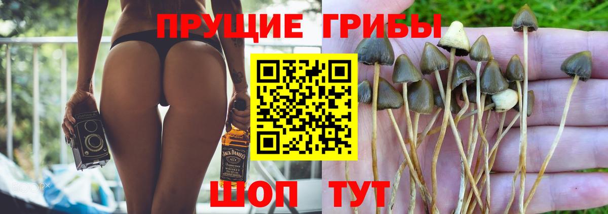 Галлюциногенные грибы GOLDEN TEACHER Анапа