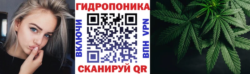 Шишки марихуана OG Kush  где купить наркоту  Анапа 